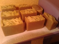 /album/fotogaleria/a2013-04-21-13-05-19-jpg/